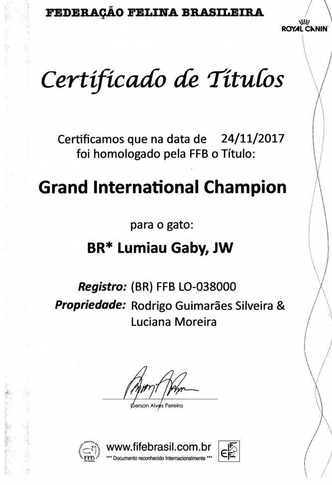 Gaby grand international champion 24-11-2017