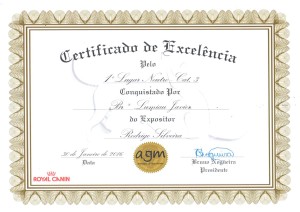 Certificado de Excelência