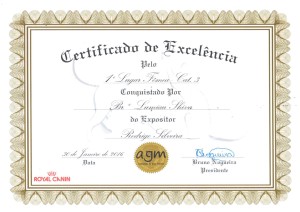 Certificado de Excelência